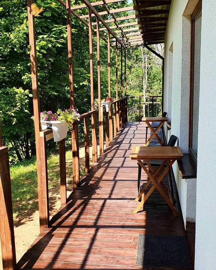 Maza Kapa Hotel Koknese Екстериор снимка